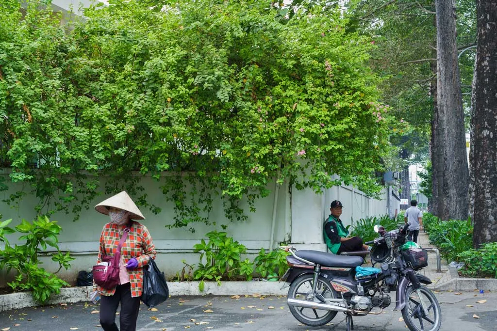 Chú xanh lá bị xa lánh