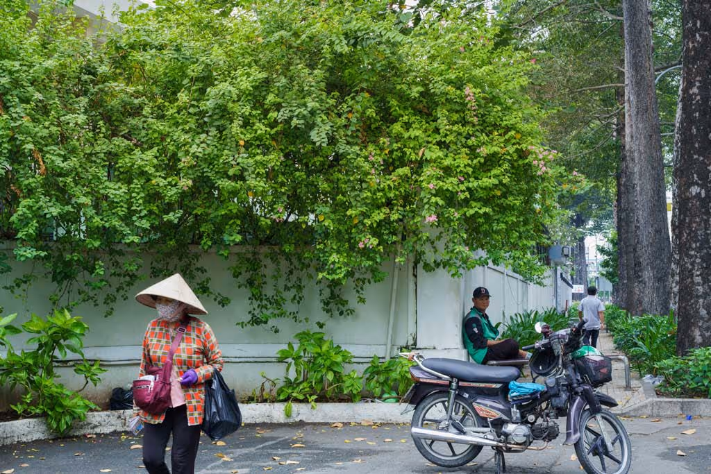 Chú xanh lá bị xa lánh