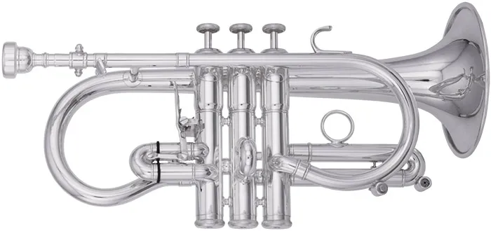 Cornet Short Model