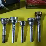 Cách chọn búp kèn Flugelhorn