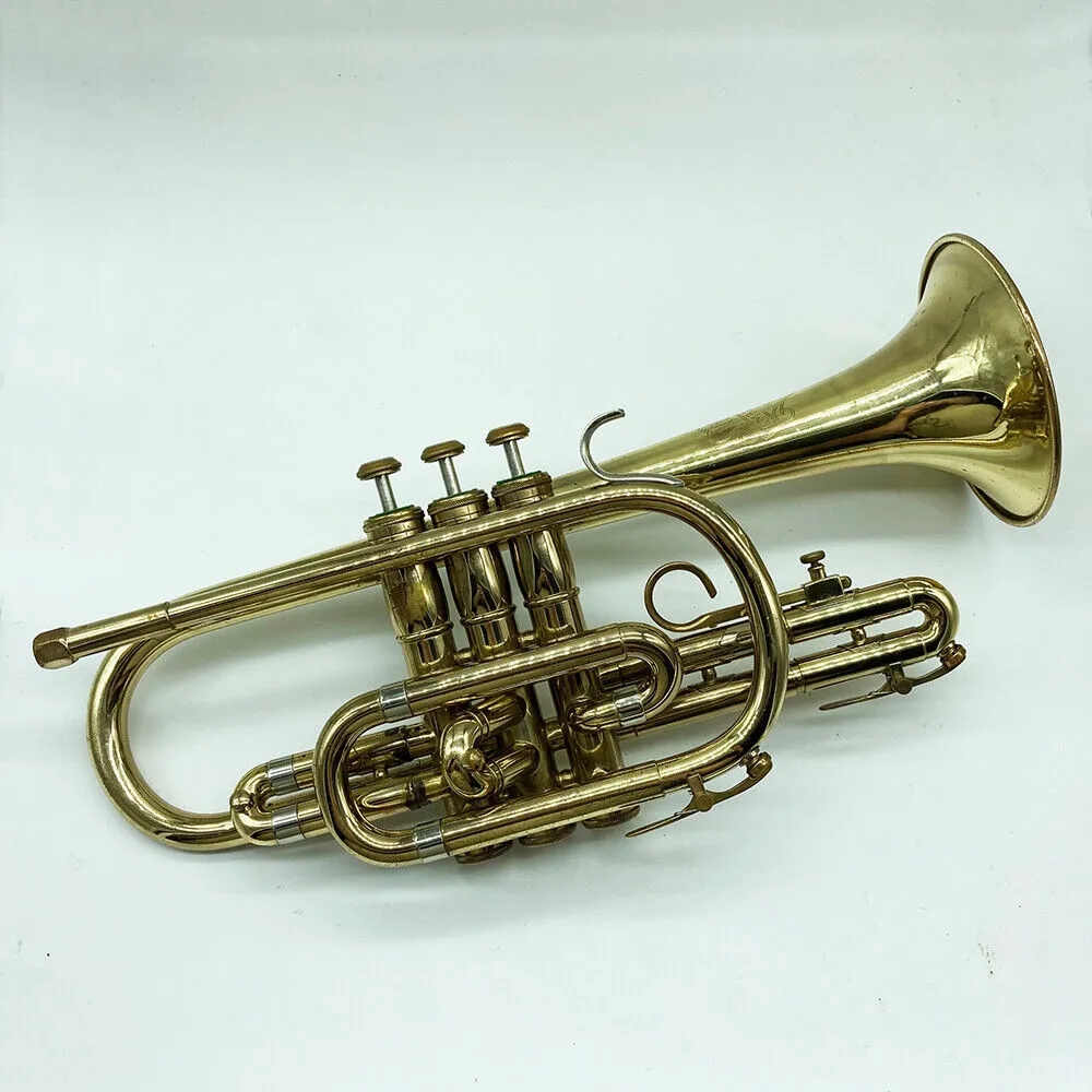 Cornet Long Model