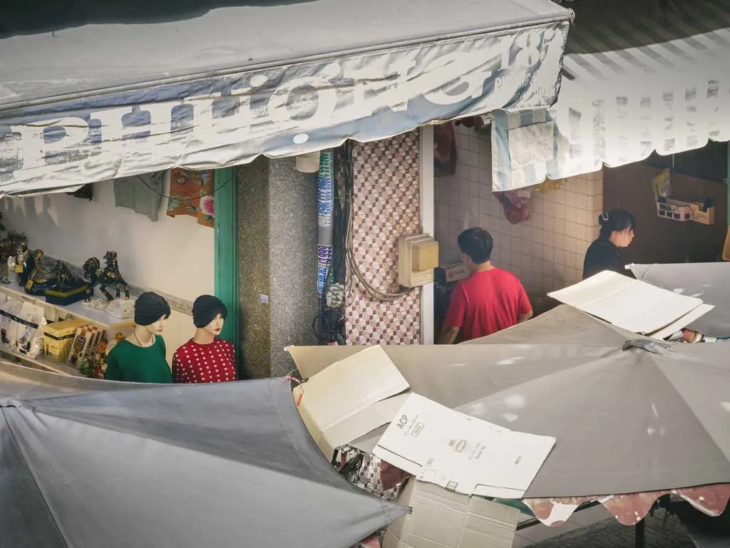 Same palette, different roles