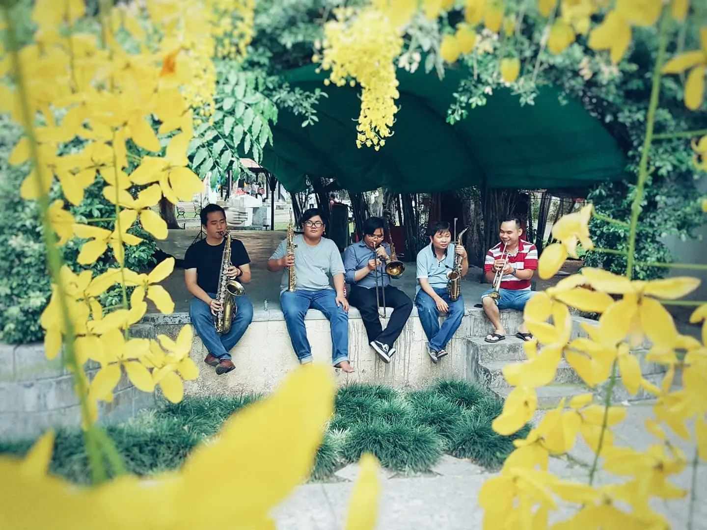 Tao Dan band