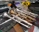 Tổng quan về kèn Trumpet
