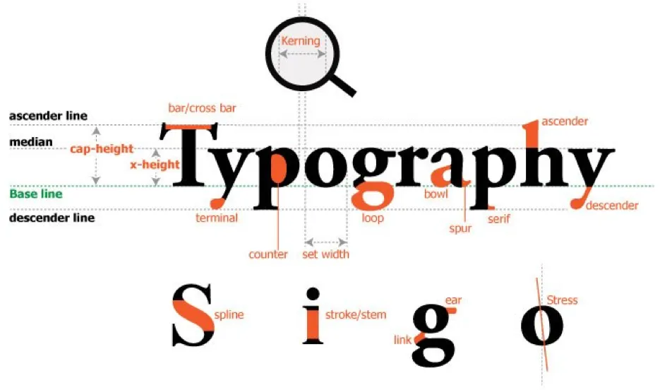Typography Grid