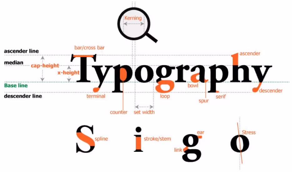 Typography Grid